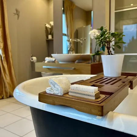 Villa Droizy 别墅 *